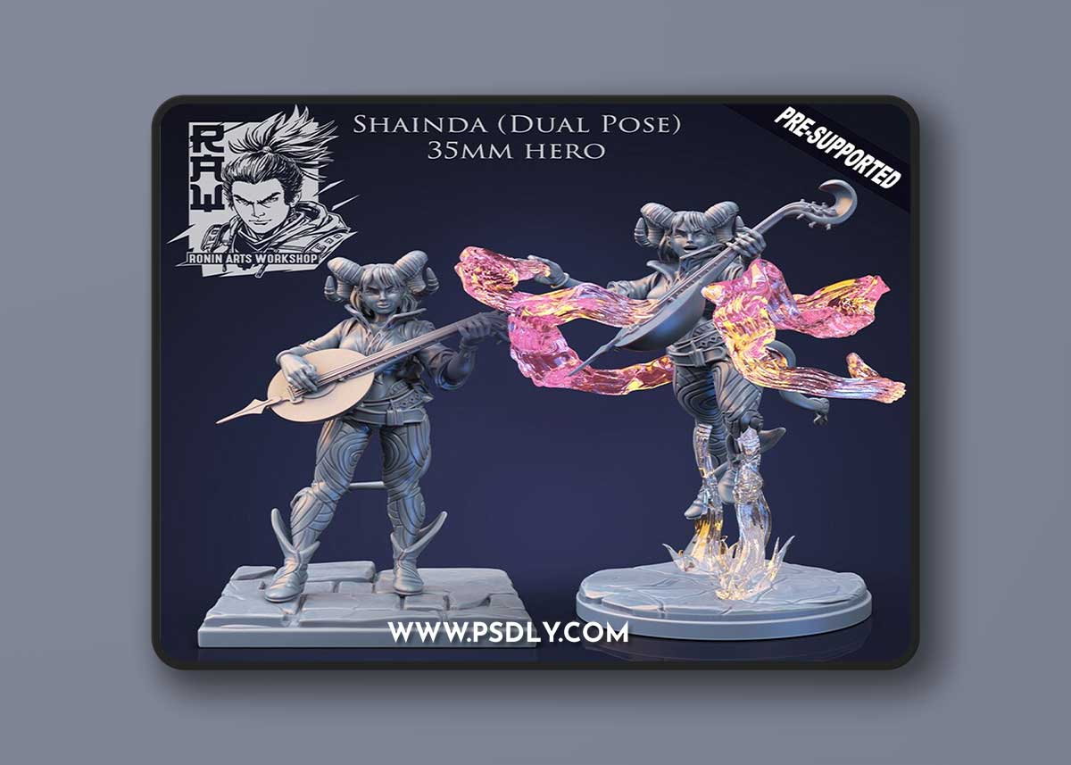Shainda The Bard - Idle and Action Pose – 3D Print Model