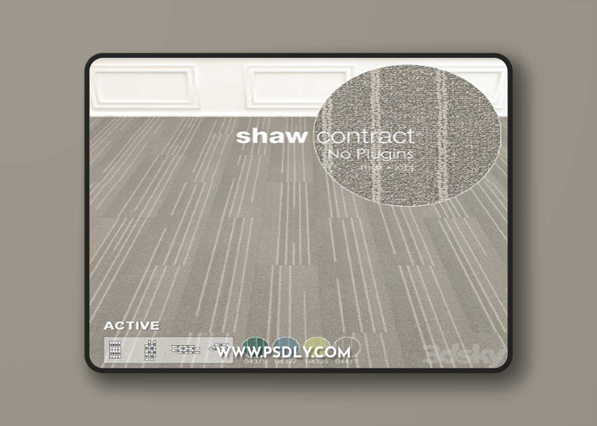 Shaw Carpet Active Wall to Wall Floor No 7