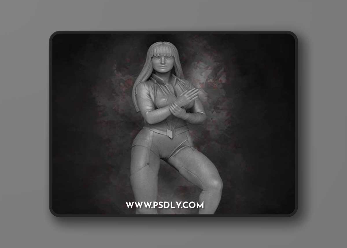 Silk Spectre Watchmen – 3D Print Model