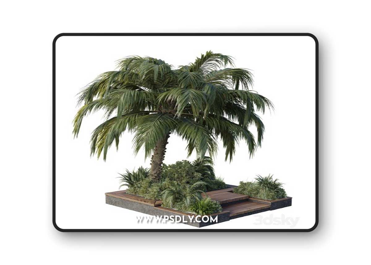garden pot tree palm bush fern grass concrete base Collection Outdoor plant 102