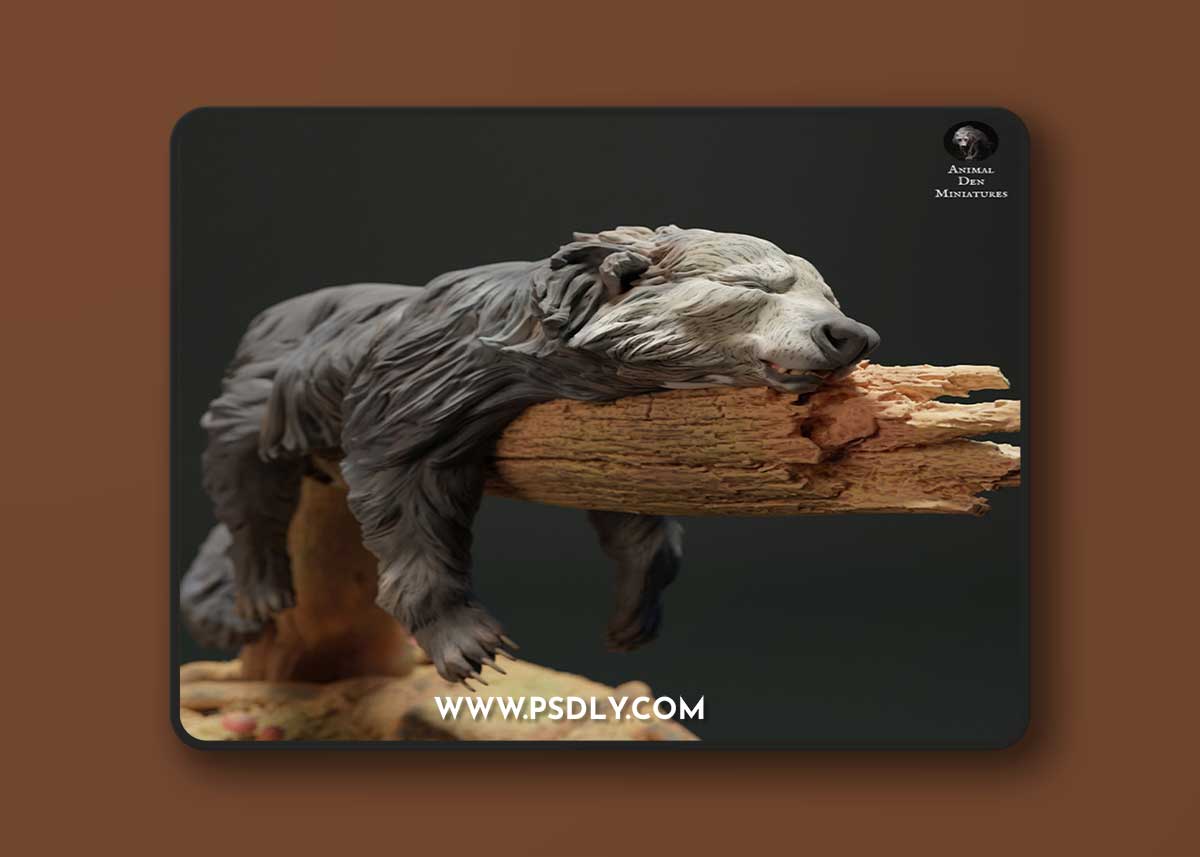 Animal Den - Binturong Bea Cat – 3D Print Model