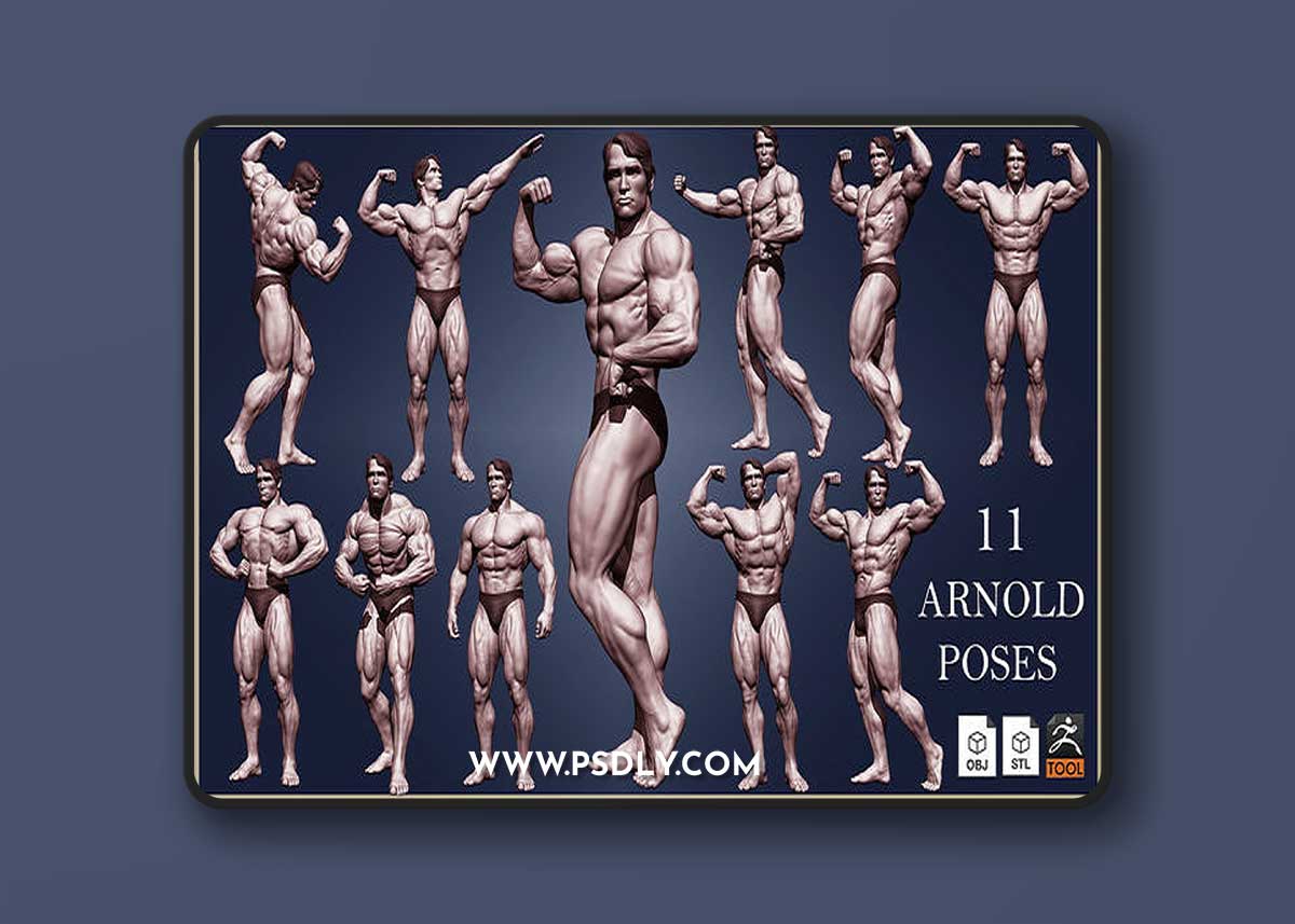 Arnold Schwarzeneg – 3D Print Model