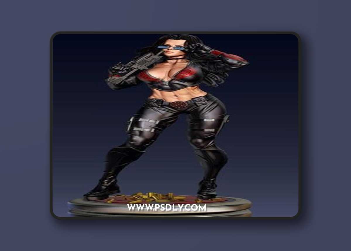 Baroness – 3D Print Model