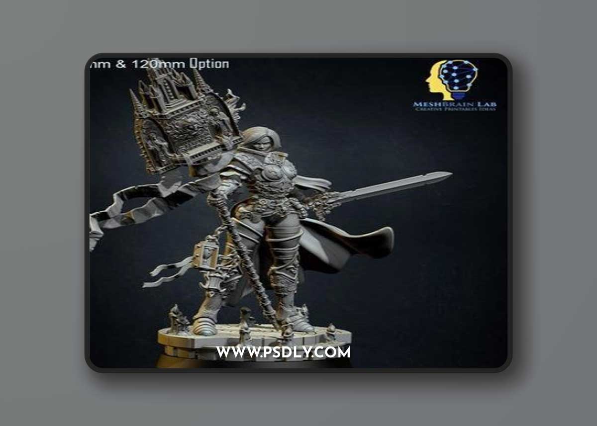 Battle Sister Superior – 3D Print Model
