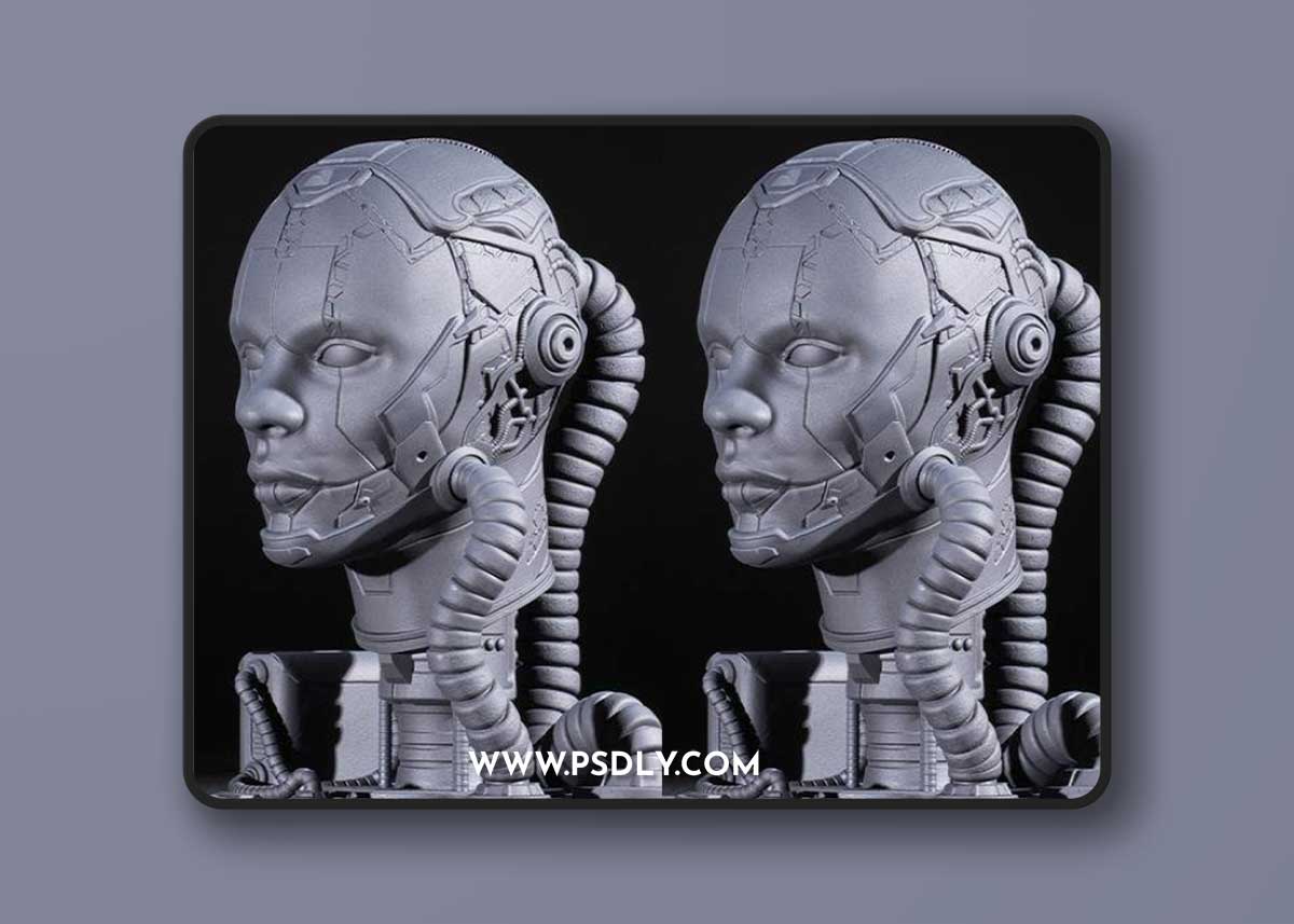 Cyborg – 3D Print Model