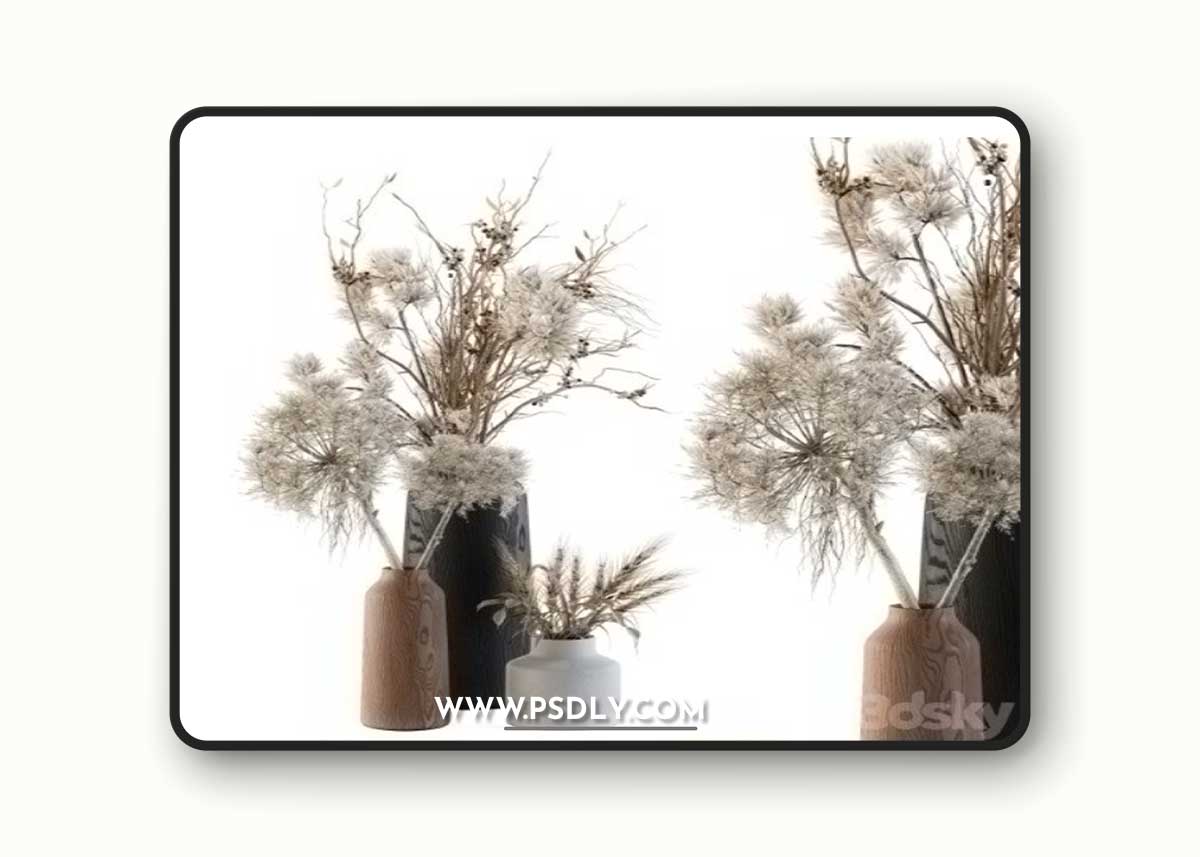 Dry plants 33 - Pampas and Dried Branch
