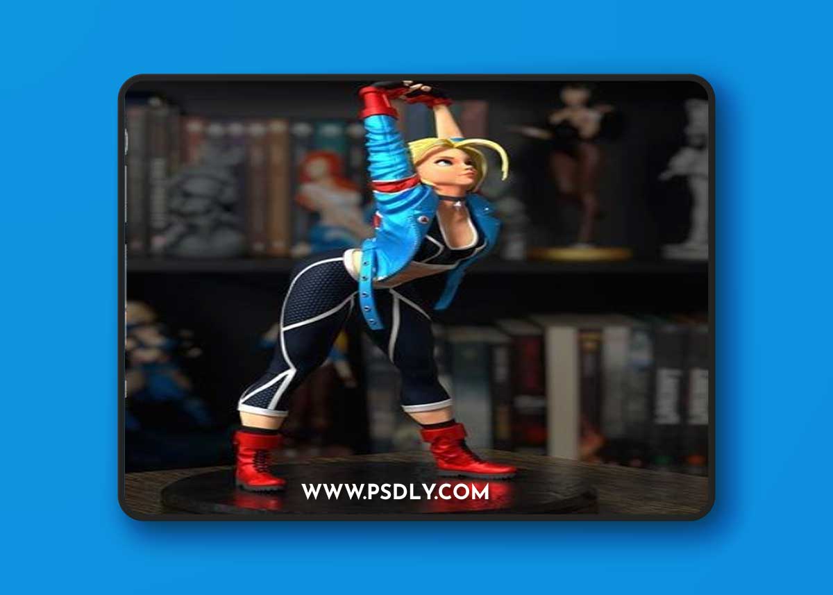 Messias3D Figure - Cammy – 3D Print Model