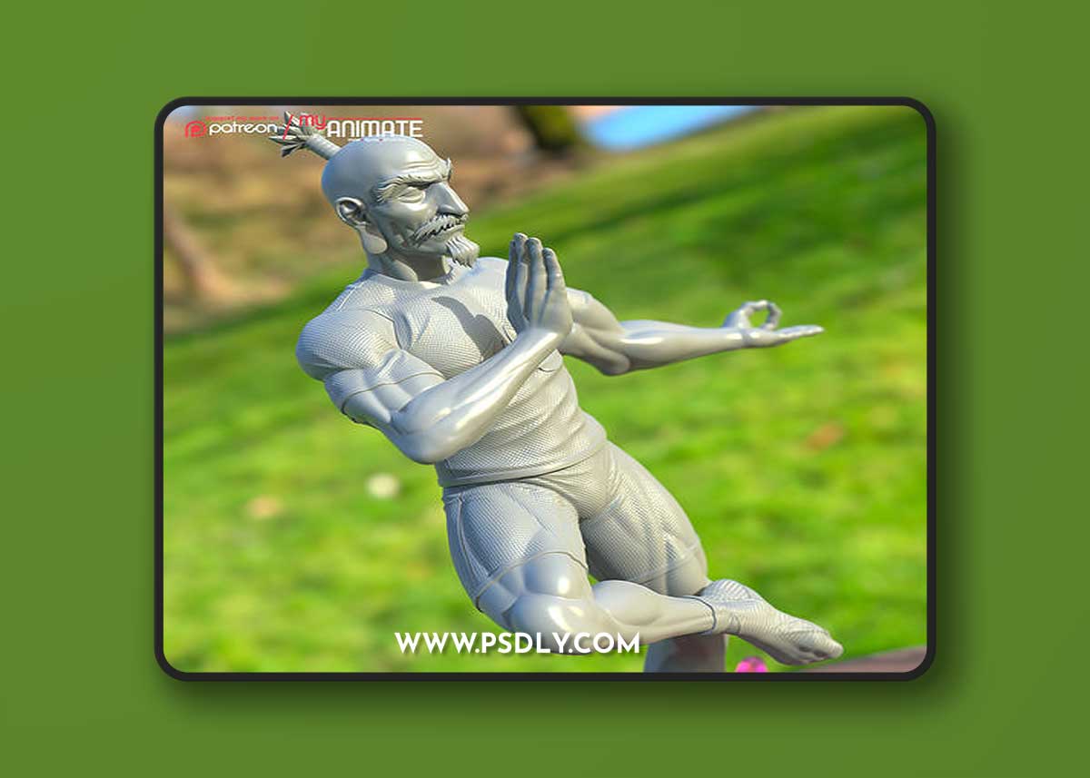 Netero from HunterxHunter - myAnimate – 3D Print Model