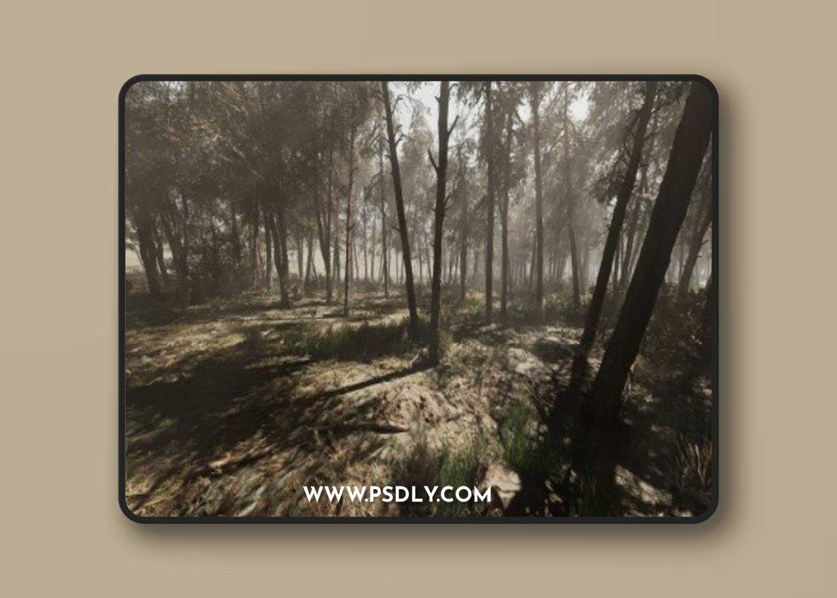 Pine forest - Photogrammetry based High poly Biome