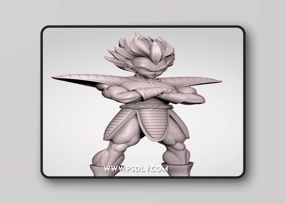 Vegeta by Serrudo – 3D Print Model