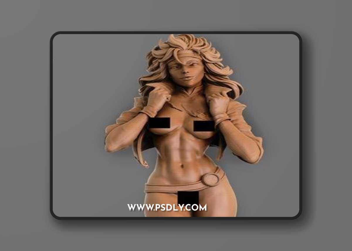 Ca 3d Studios - Rogue NSFW Version – 3D Print Model