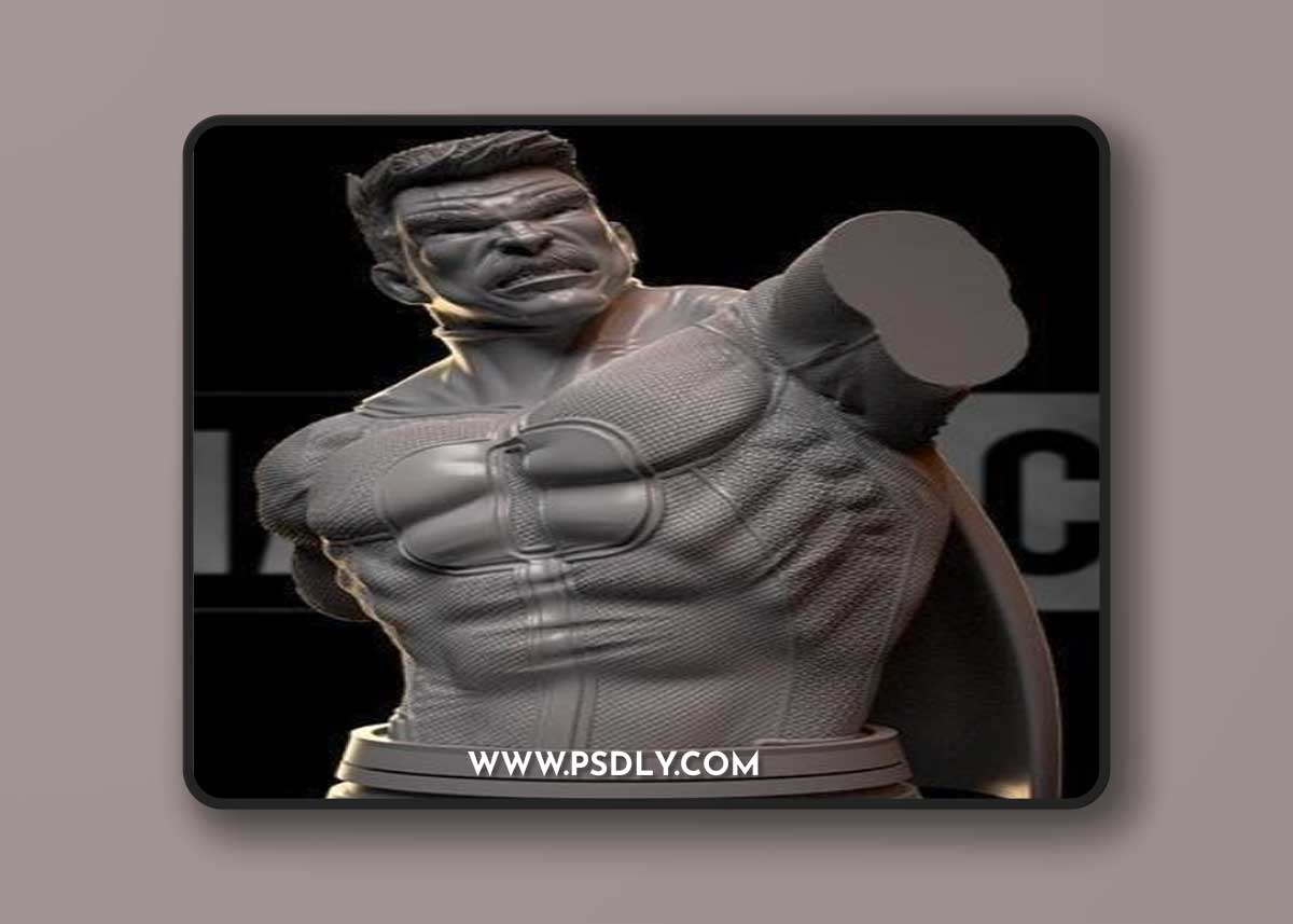 Omniman Bust – 3D Print Model
