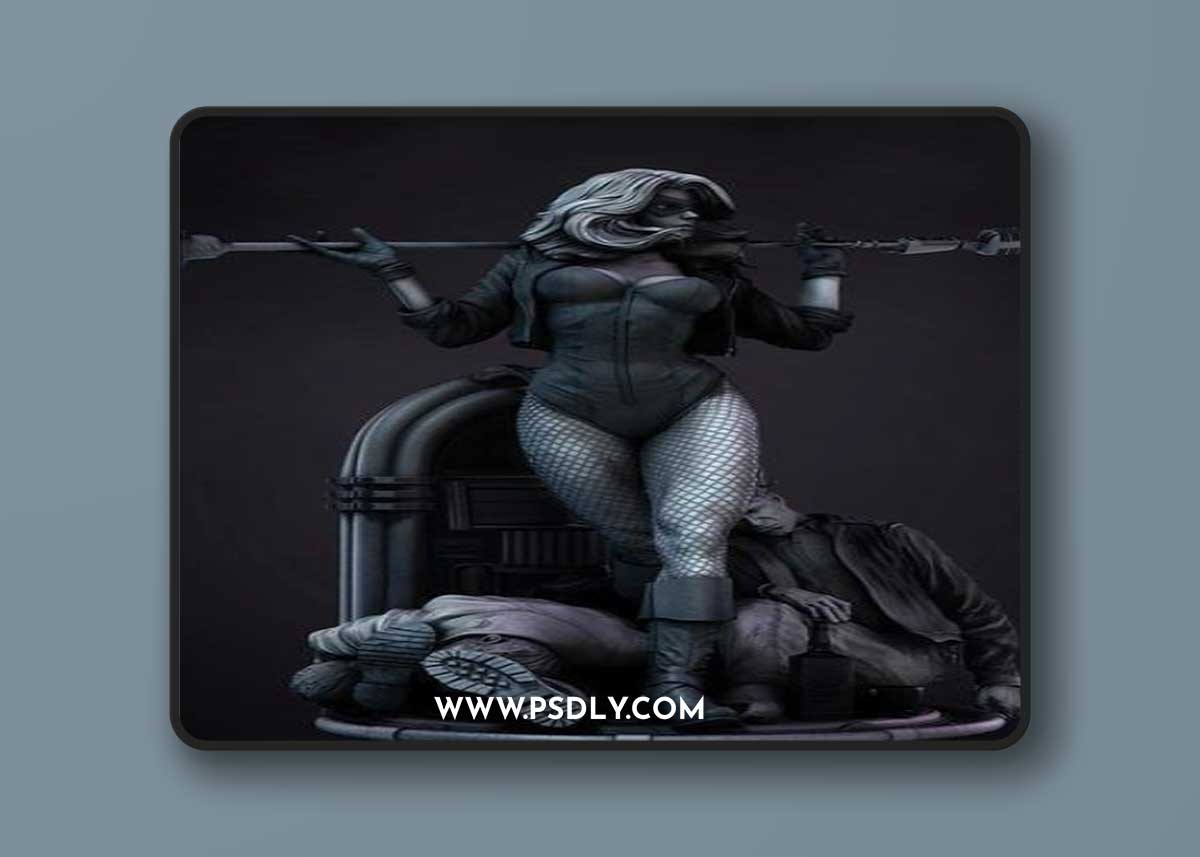 B3DSERK - Black Canary Statue – 3D Print Model