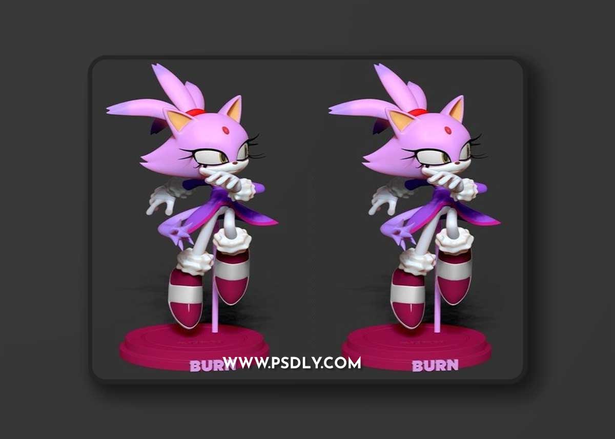 Blaze The Cat - Sonic – 3D Print Model