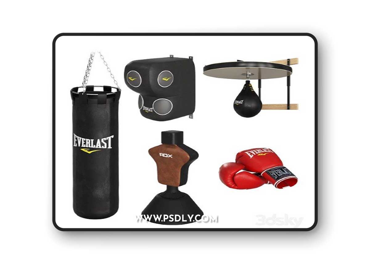 Boxing Equipment 1 3D Model