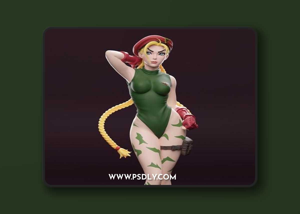 Cammy from Street Fighter V – 3D Print Model