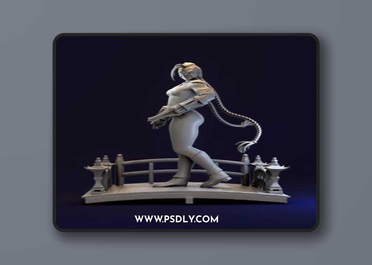 Evil Cammy - Street Fighter – 3D Print Model