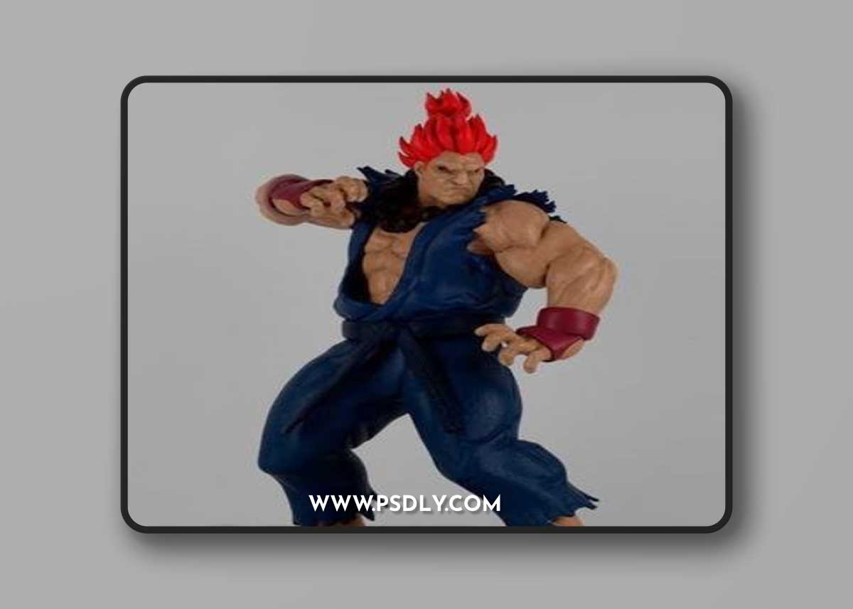New Challengers - Akuma – 3D Print Model