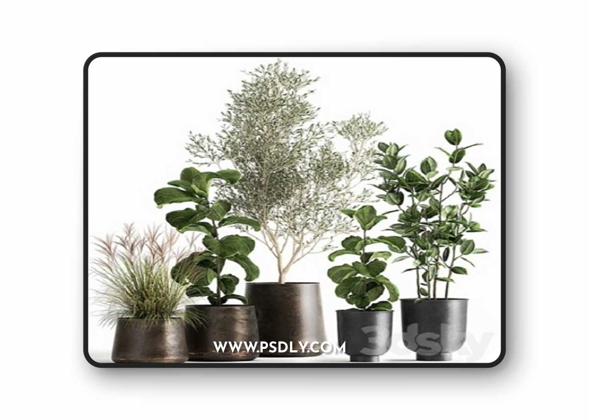 Pro 3DSky - Plant collection 1029