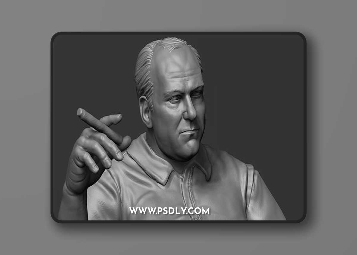 Tony Soprano – 3D Print Model