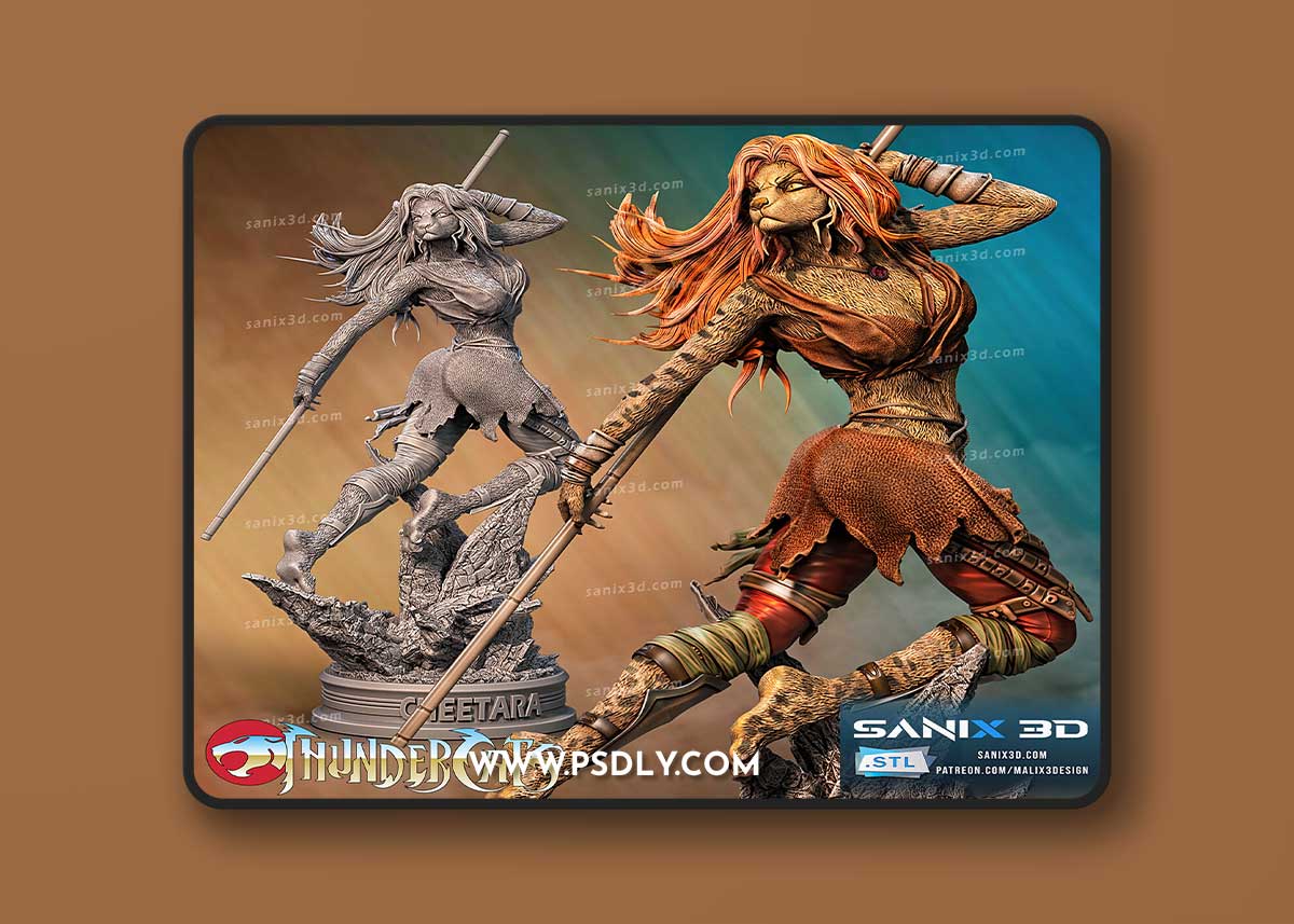 Sanix - Cheetara (Thundercats) – 3D Print Model