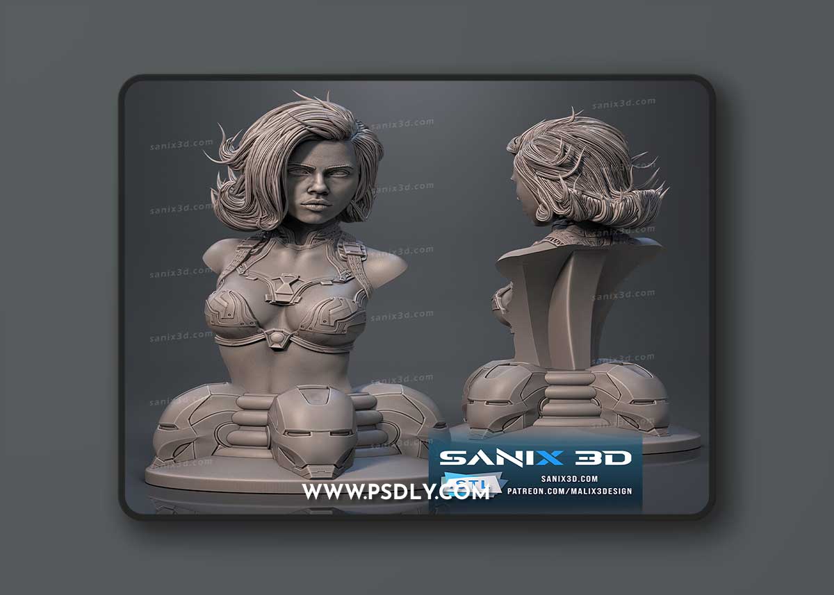 Sanix - Iron Widow bust – 3D Print Model