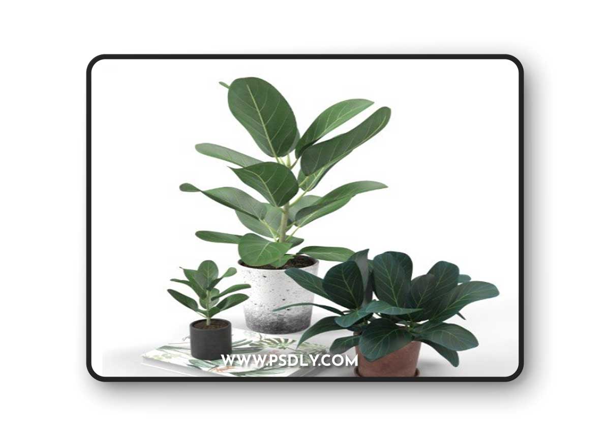 Set of plants 01 3D model