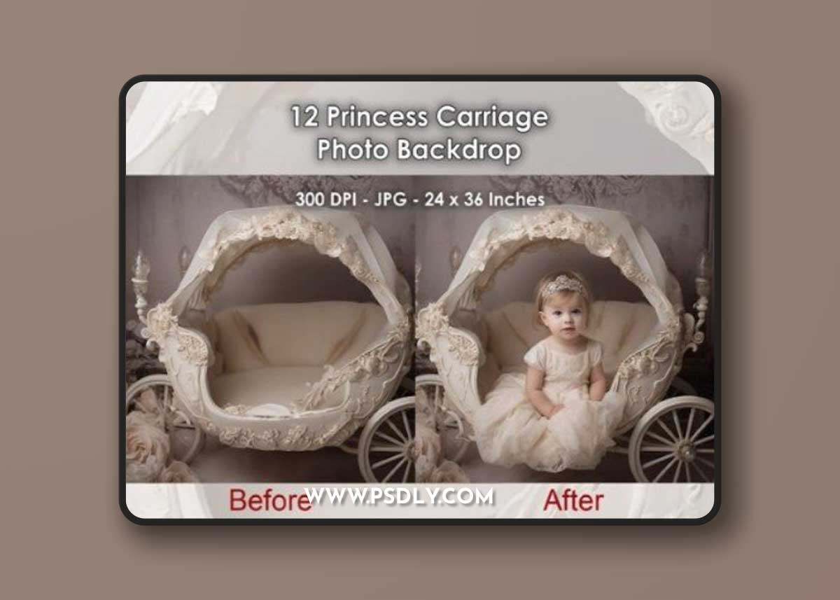 12 Princess Carriage Photo Backdrop JPG