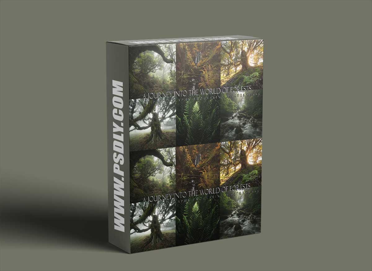 A Journey into the world of forests - Enrico Fossati