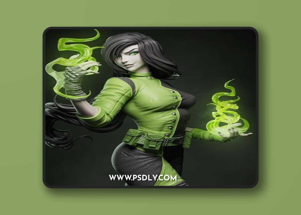Ca 3d Studios - Shego from Kim Possible – 3D Print Model