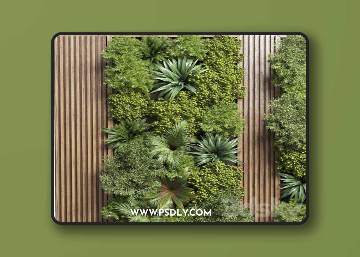 Fitowall Wood frame Vertical graden wall decor bax 18 vray