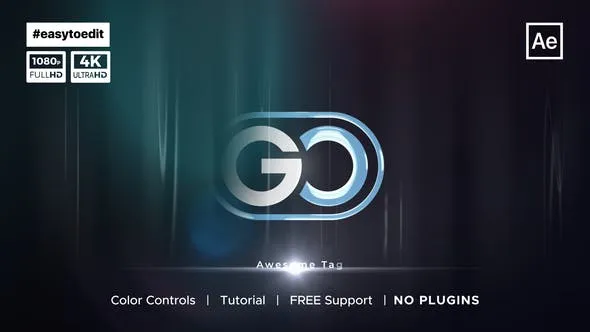 Videohive Elegan Logo Reveal 47865110