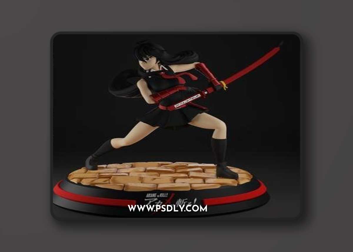 Akame ga Kill – 3D Print Model