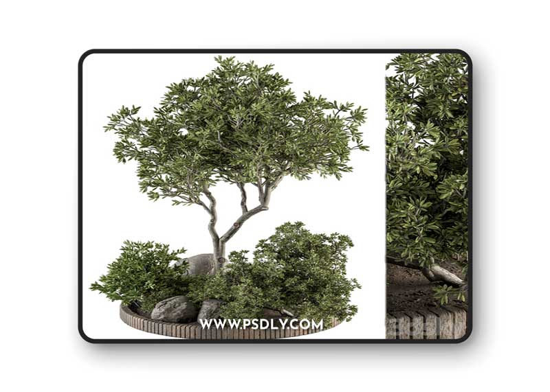 Garden Set Plants - Outdoor Plants Set 333
