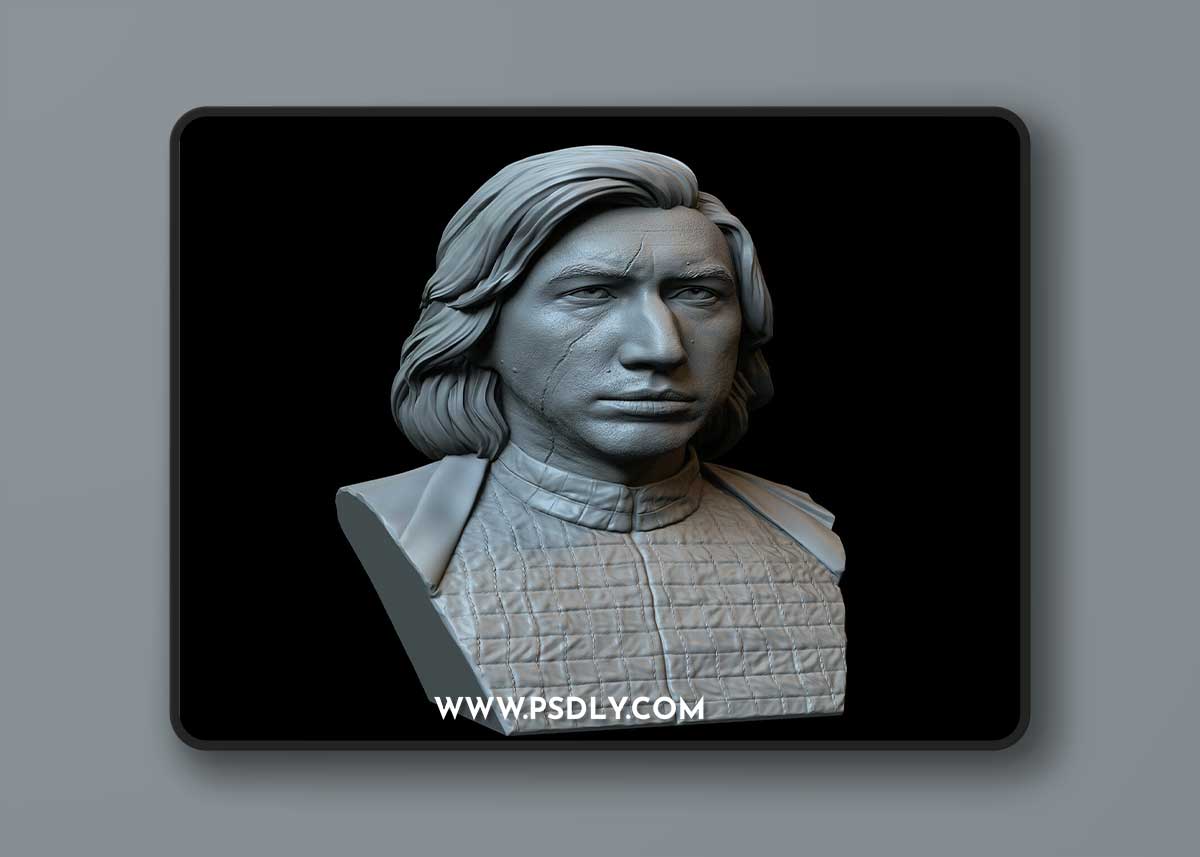 Kylo Ren aka Ben Solo (Adam Driver) from Star Wars Bust – 3D Print Model