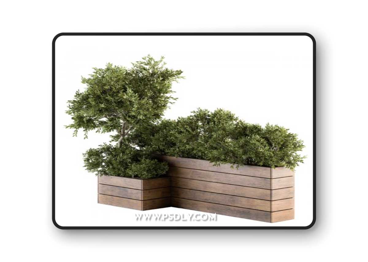 Outdoor Plants tree in Wood Box - Set 154