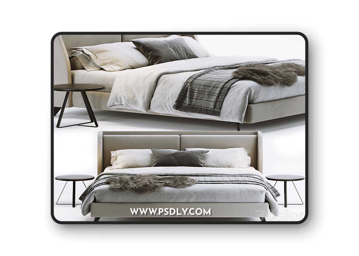Sofa & Chair Company Enzo Bed 3D Model