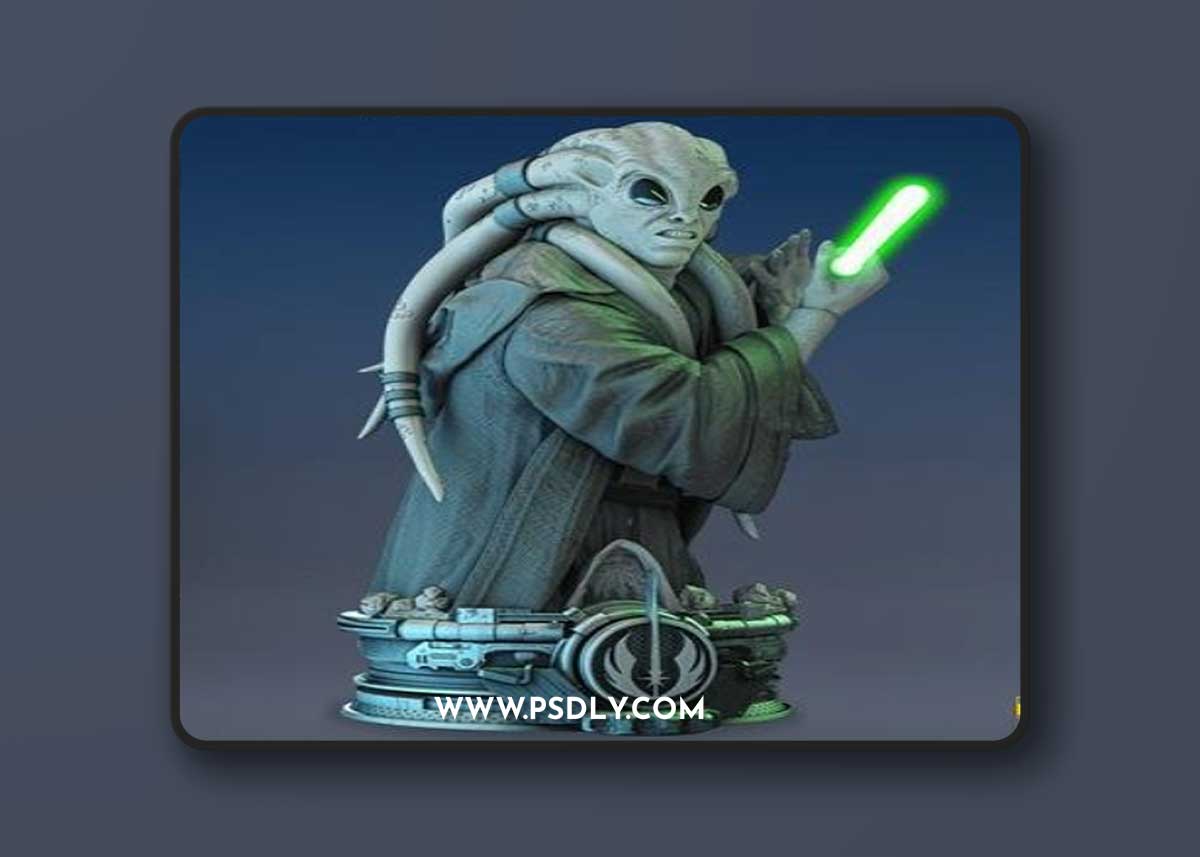 Star Wars - Kit Fisto Bust – 3D Print Model
