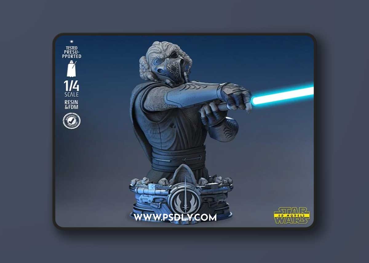Star Wars - Plo Koon Bust – 3D Print Model
