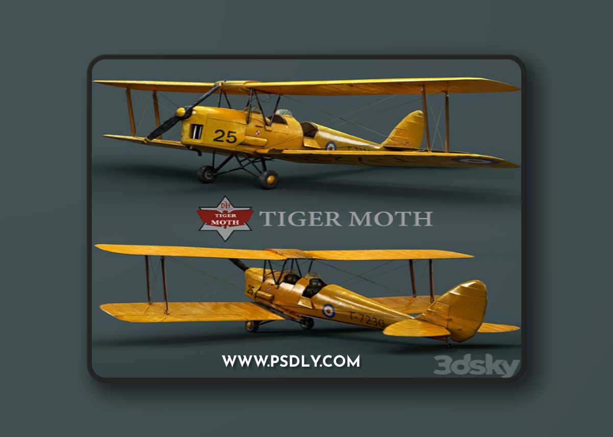 Tiger moth 3d Model