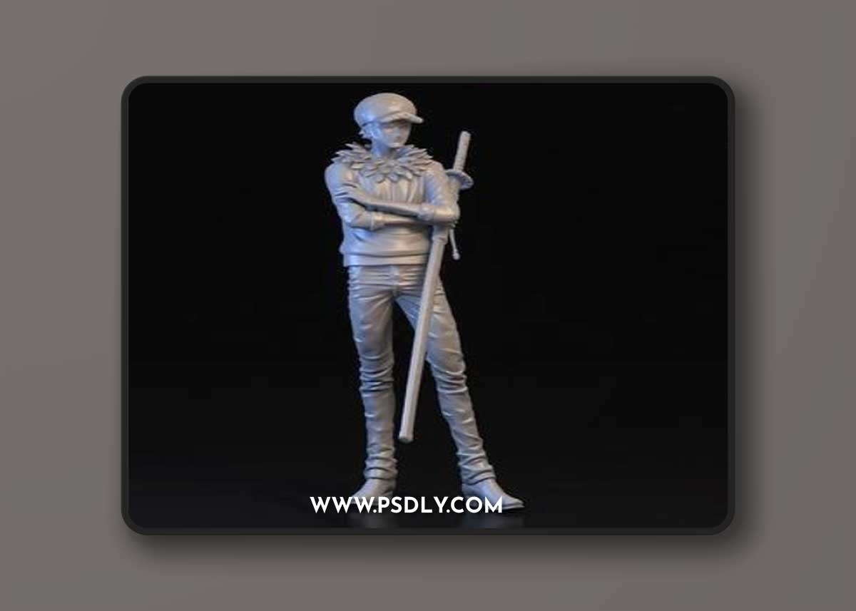 Trafalgar D. Water Law – 3D Print Model