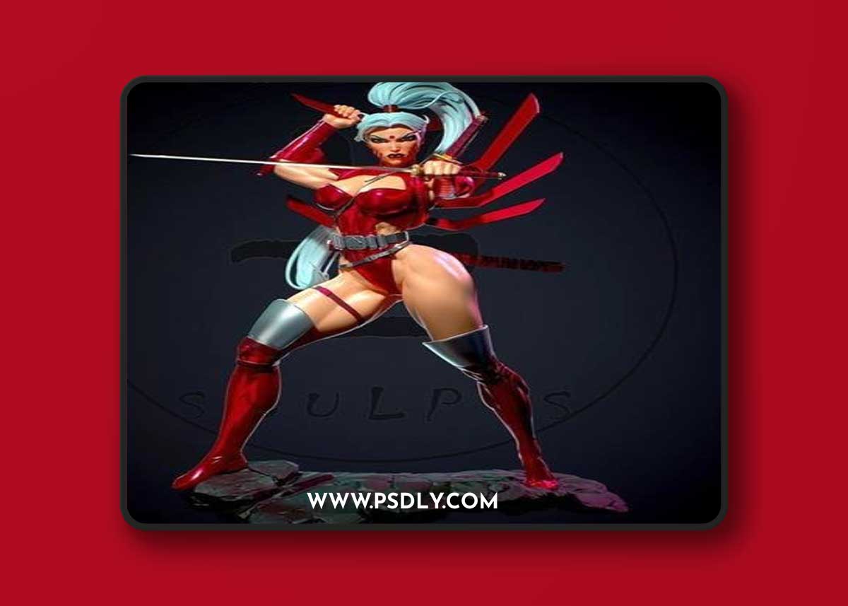 Yan H - Zealot – 3D Print Model