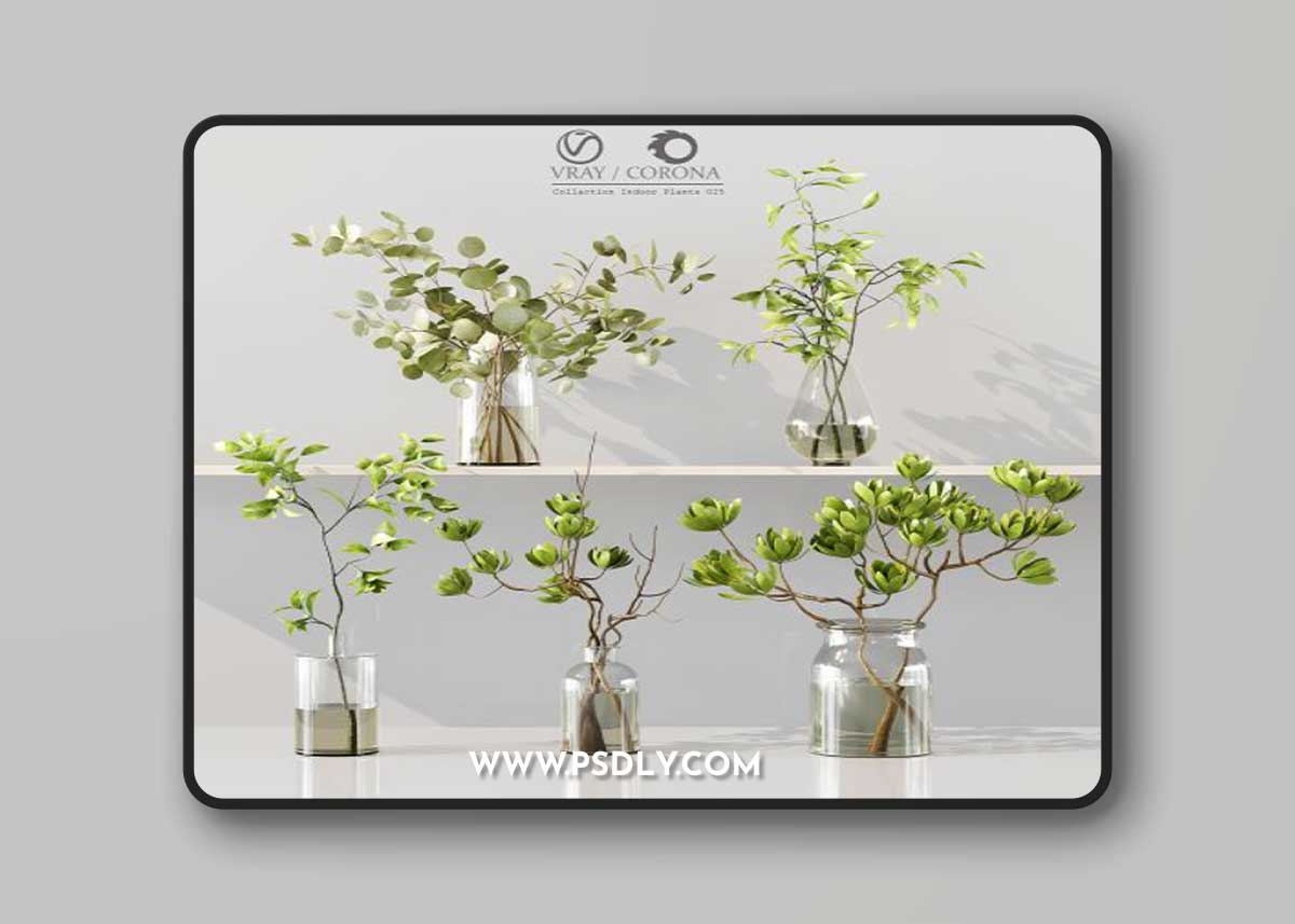 Collection Indoor Plants 025 3D Model