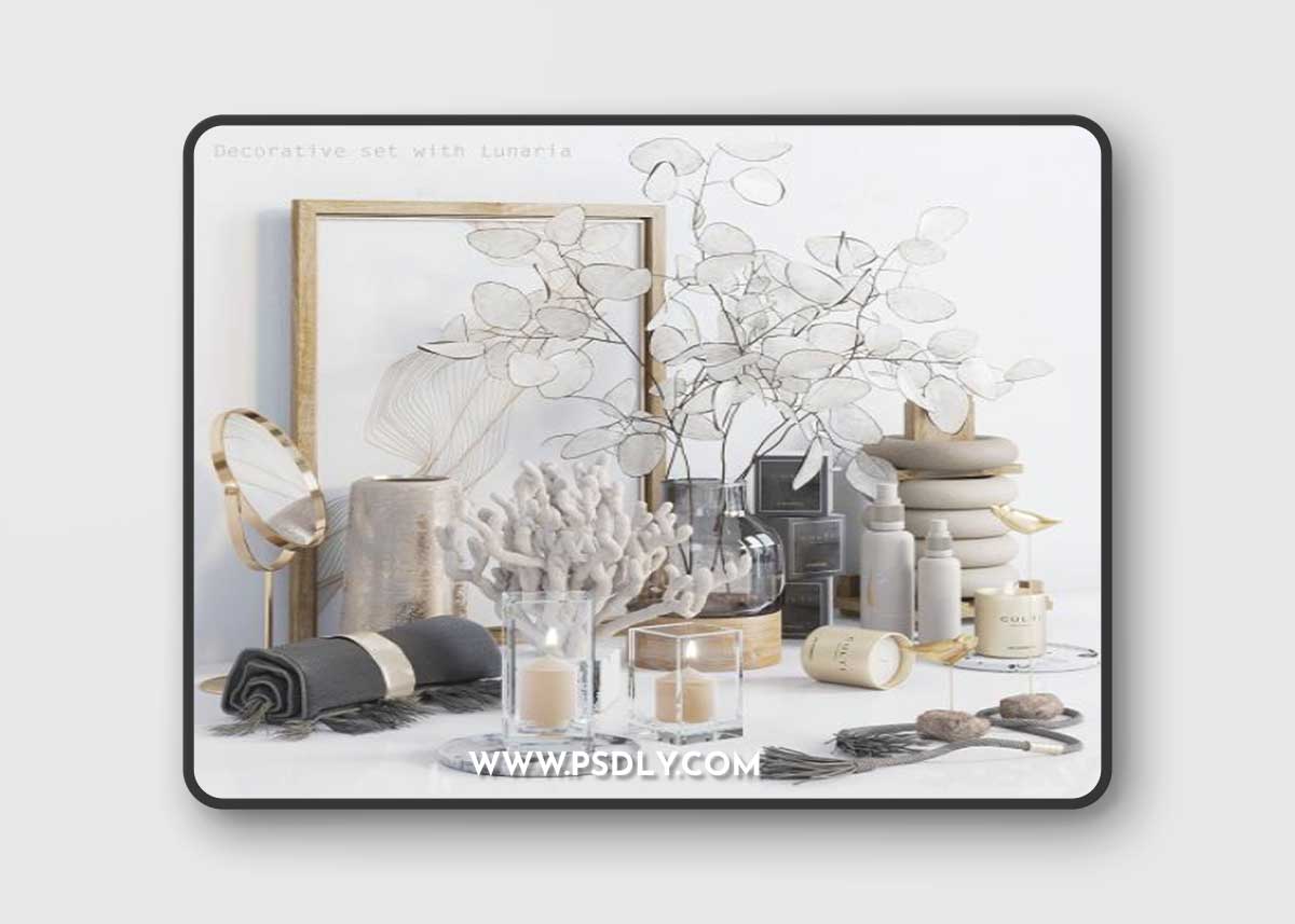 Decorative set with Lunaria 3D Model