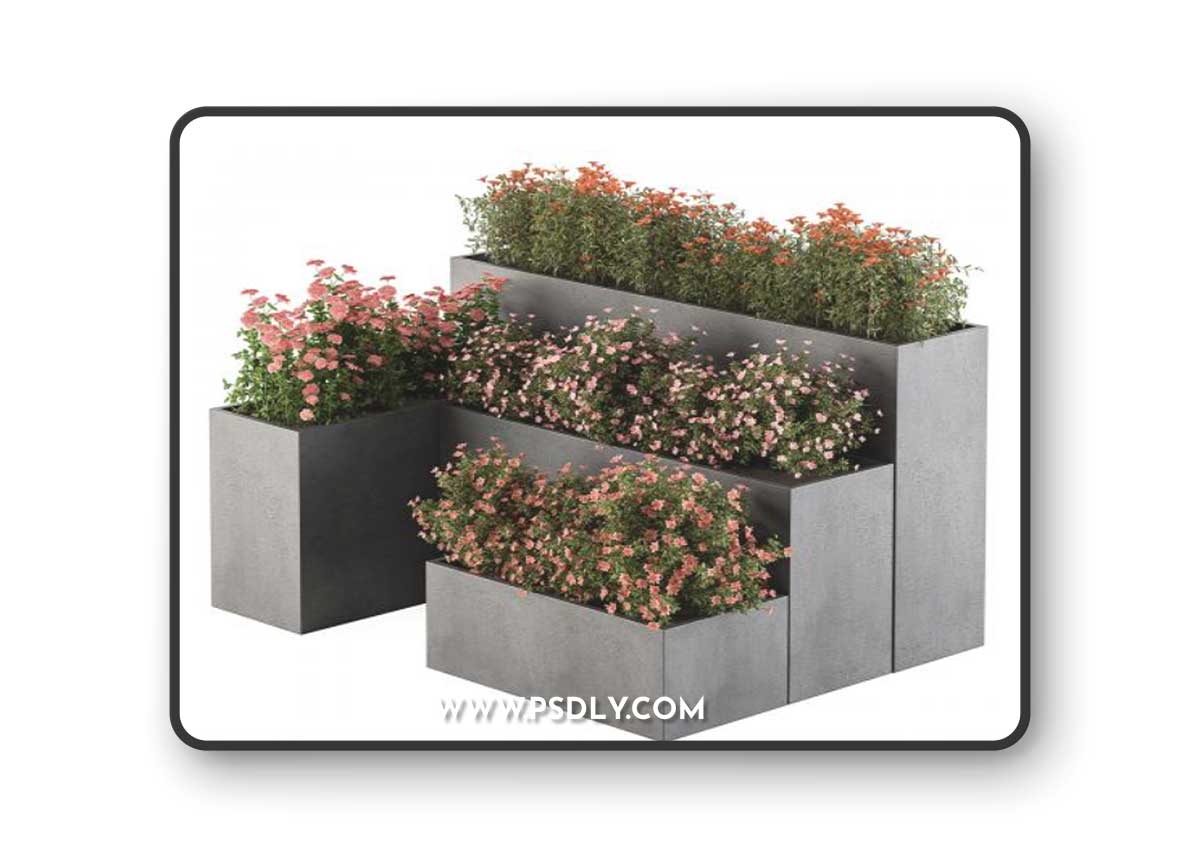Flower Box - Outdoor Plants 436 3D Model