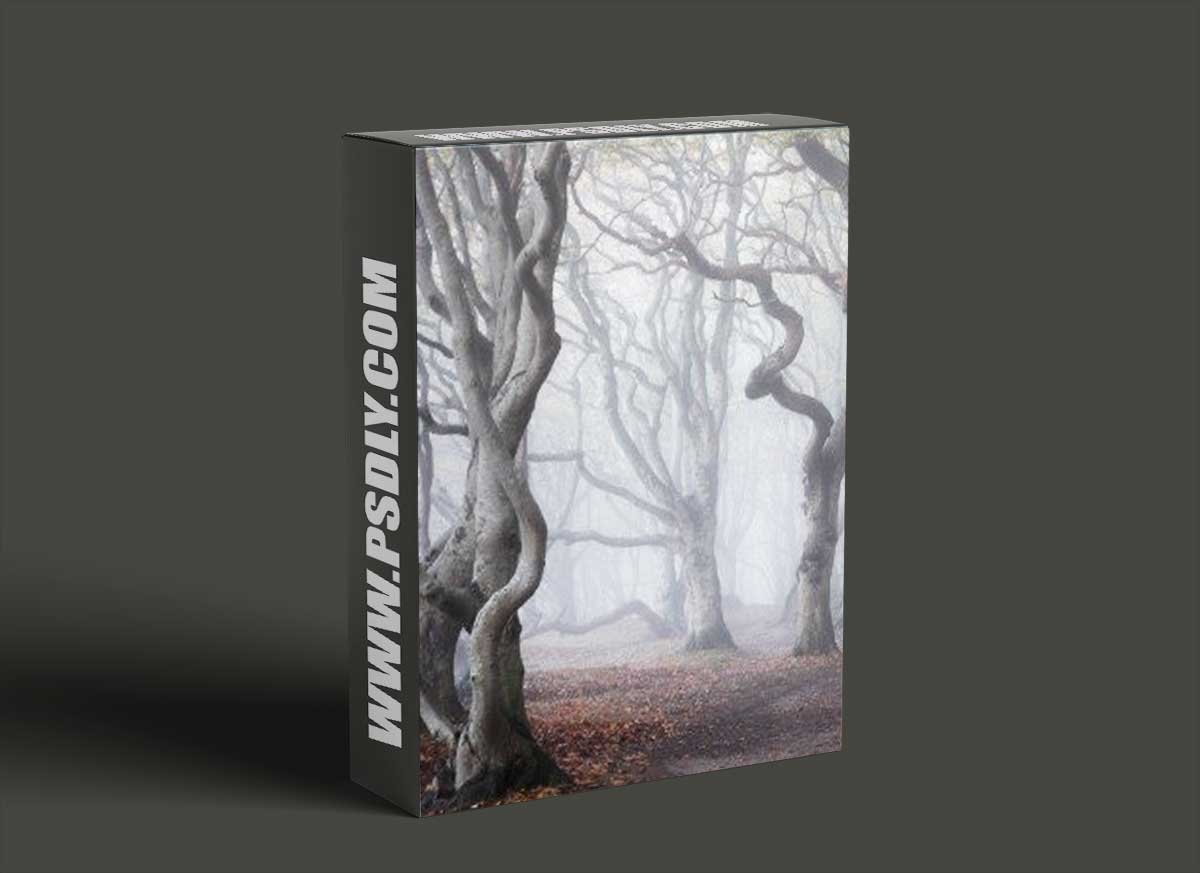 Mastering Forest Photography - Mads Peter Iversen