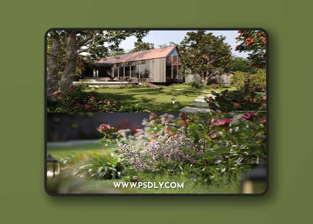 Maxtree - Plant Models Vol 101 3D Model