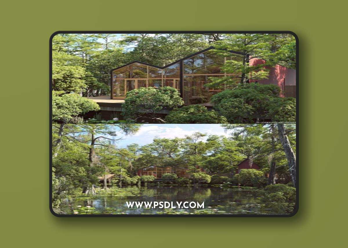 Maxtree - Plant Models Vol 102 3D Model