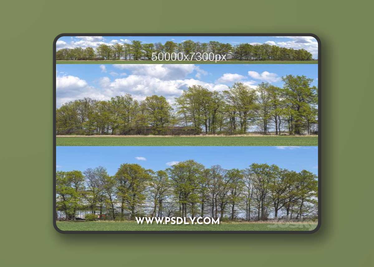Panorama with Trees v2. 50k 3D Model