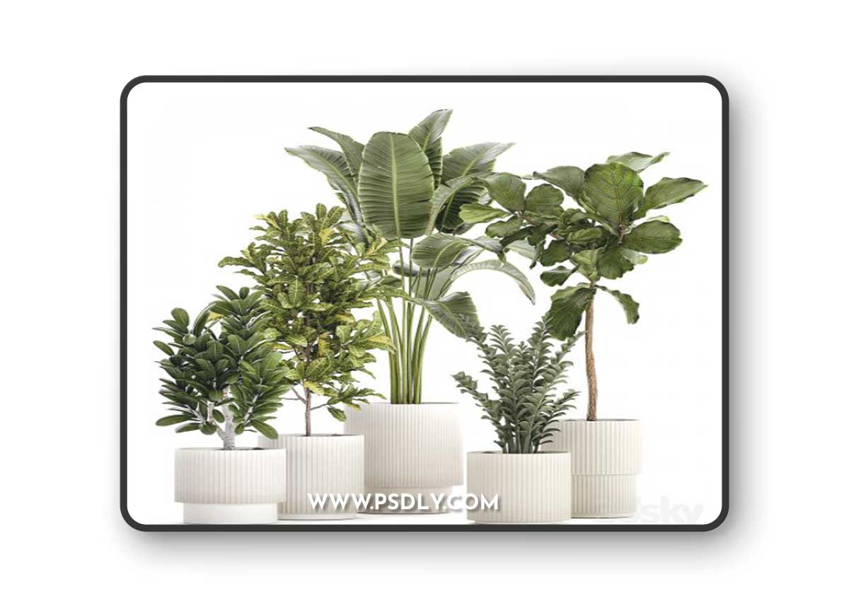 Plant collection 1407 3D Model